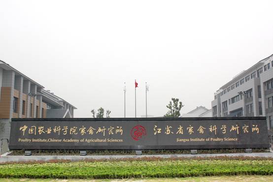 江苏省扬州市家禽研究中心，郑州防静电地板安装91视频APP官网入口，【郑州91视频下载地址防静电地板有限公司】销售热线:13526480830.厂家直销陶瓷防静电地板,全钢防静电地板,硫酸钙防静电地板.PVC防静电地板供应商,主要用于计算机机房,通讯机房,洁净厂房及现代化智能化楼宇等场所,欢迎咨询。